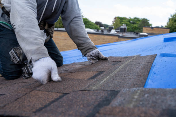Professional Roofing Contractor in Mason City, IA